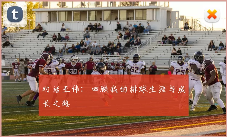 对话王伟：回顾我的排球生涯与成长之路