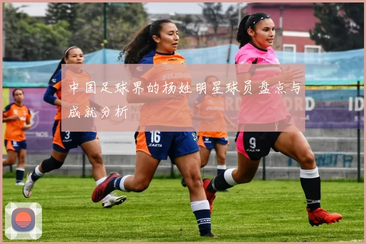 中国足球界的杨姓明星球员盘点与成就分析