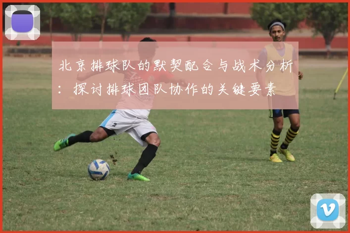 北京排球队的默契配合与战术分析：探讨排球团队协作的关键要素