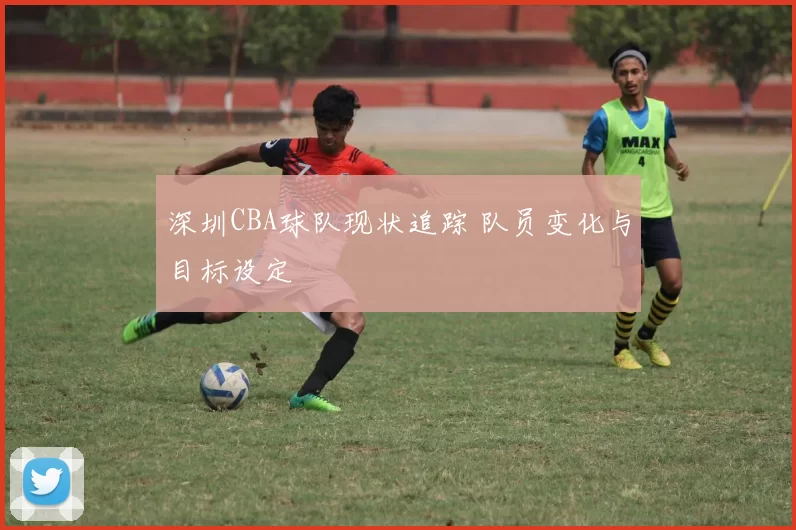 深圳CBA球队现状追踪 队员变化与目标设定