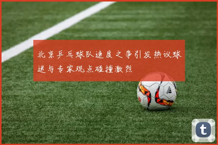 北京乒乓球队速度之争引发热议球迷与专家观点碰撞激烈
