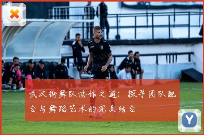 武汉街舞队协作之道：探寻团队配合与舞蹈艺术的完美结合