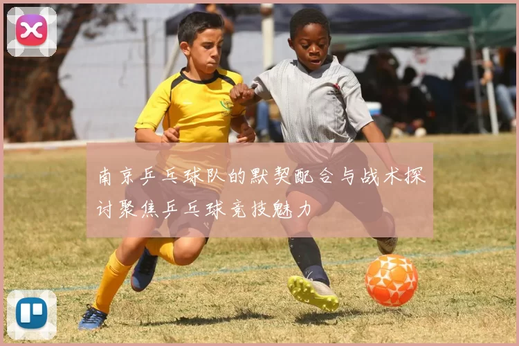 南京乒乓球队的默契配合与战术探讨聚焦乒乓球竞技魅力