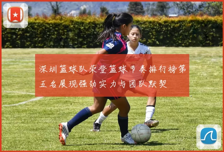 深圳篮球队荣登篮球节奏排行榜第五名展现强劲实力与团队默契