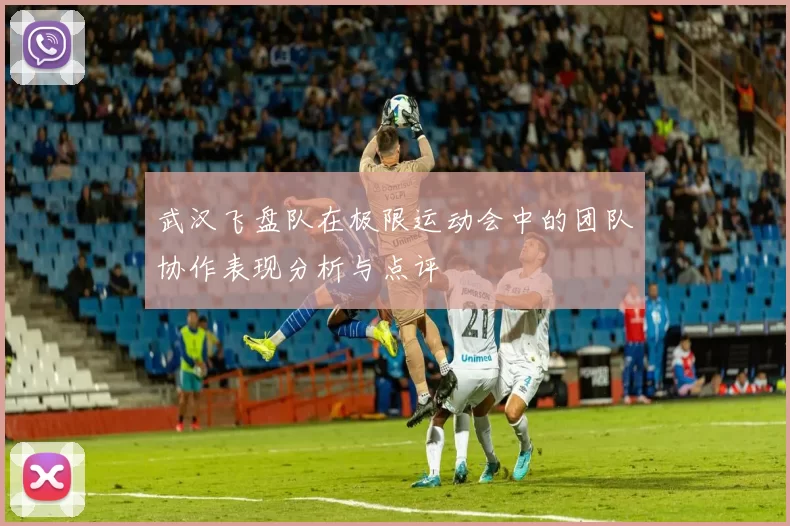 武汉飞盘队在极限运动会中的团队协作表现分析与点评